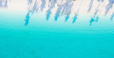 Abu Dhabi e Zanzibar Abu Dhabi e Zanzibar