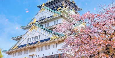 Osaka, Quioto, Tóquio, Phuket e Phi Phi Osaka, Quioto, Tóquio, Phuket e Phi Phi
