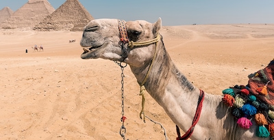 Cairo, cruzeiro de 3 noites e Hurghada Cairo, cruzeiro de 3 noites e Hurghada