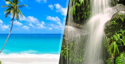 Dominica e Barbados Dominica e Barbados