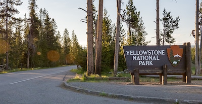 O Grande Percurso de Yellowstone O Grande Percurso de Yellowstone
