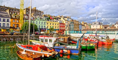 Cork