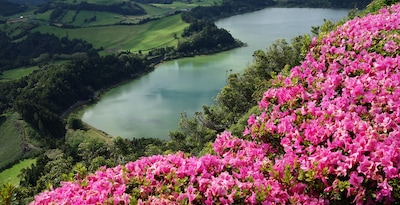 São Miguel São Miguel