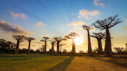 África Austral África Austral