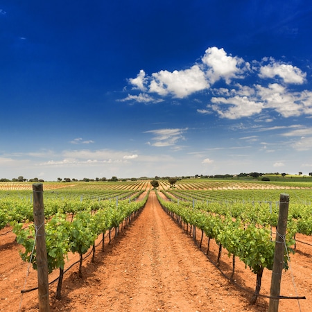 https://blog.logitravel.pt/wp-content/uploads/2020/01/shutterstock_143500129.jpg
