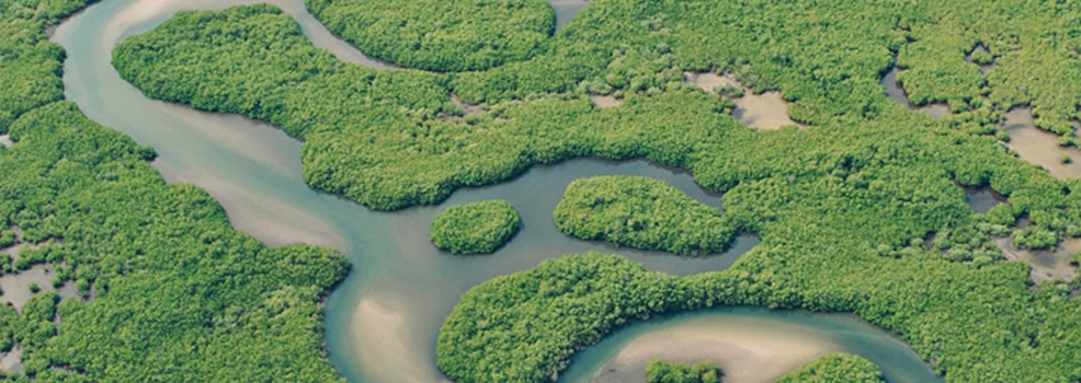 Île de Sangomar