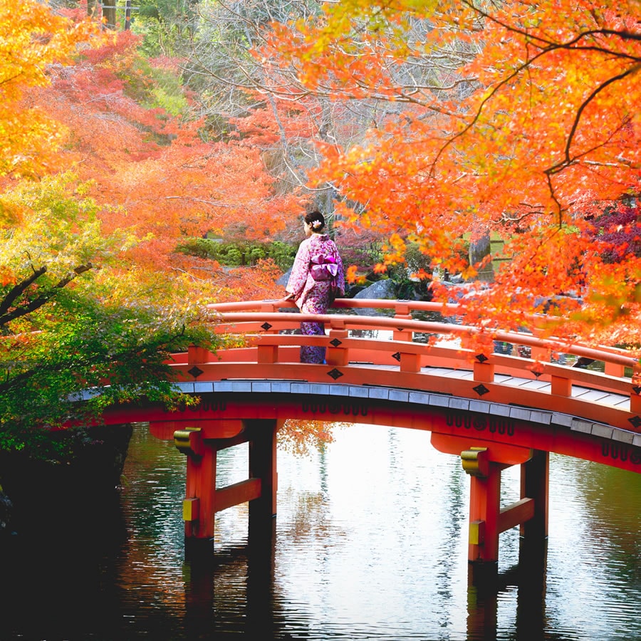 Japão e Tailândia: Do Sul ao Norte do Japão e Koh Samui desde 4590 €. O  melhor preço em Logitravel.