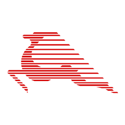 Voos de TUNISAIR EXPRESS