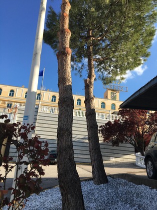 Gallery - Hotel Torres I