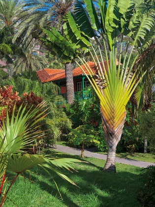 Gallery - Hacienda San Jorge