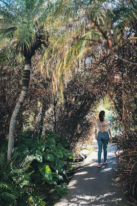 Gallery - Hacienda San Jorge