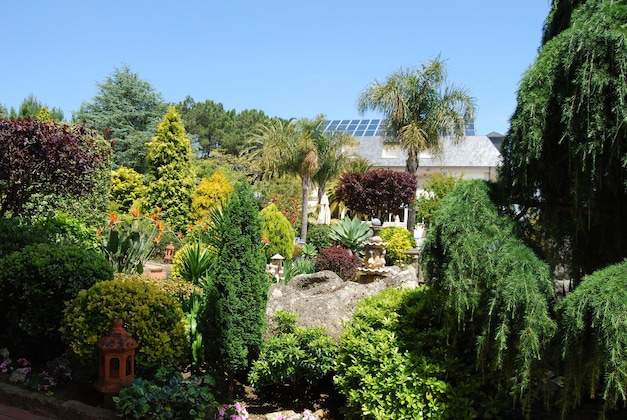 Gallery - Hotel Spa Bosque-Mar