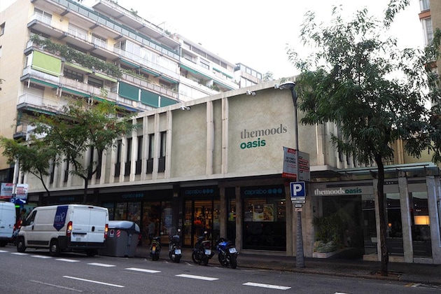 Gallery - The Moods Oasis