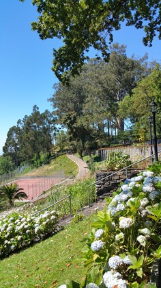 Gallery - Bio Hotel - Hotel Quinta Da Serra