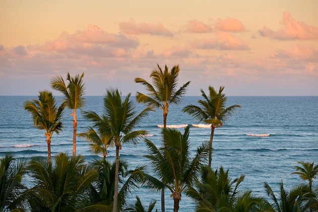 Gallery - Iberostar Waves Dominicana