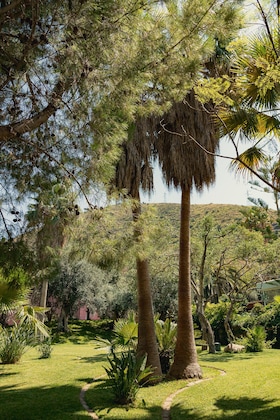Gallery - Hotel Alberi Del Paradiso