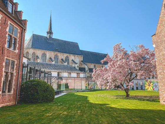 Gallery - Martin's Klooster