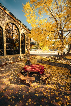 Gallery - Lake Louise Inn