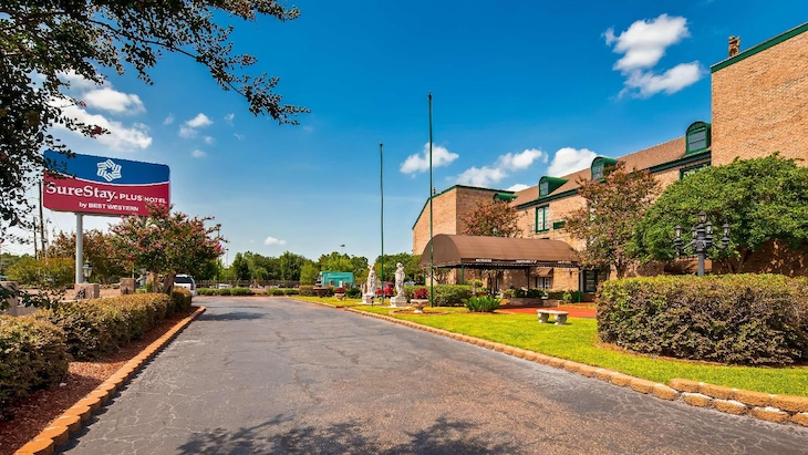 Gallery - Royal Suites