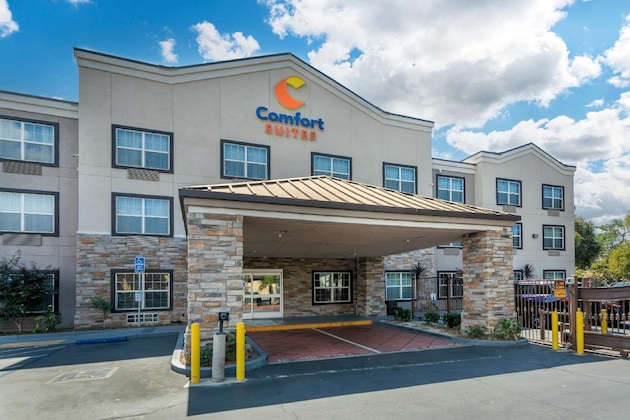 Gallery - Comfort Suites Downtown