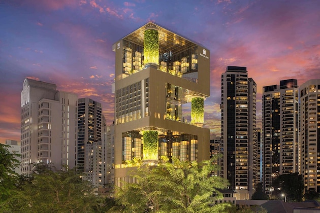 Gallery - Pan Pacific Orchard