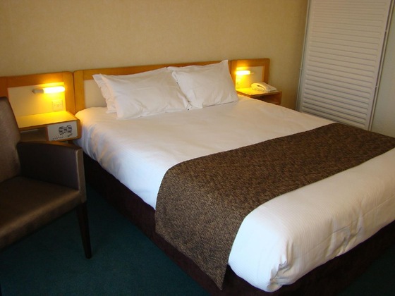 Gallery - Brit Hotel Du Lac