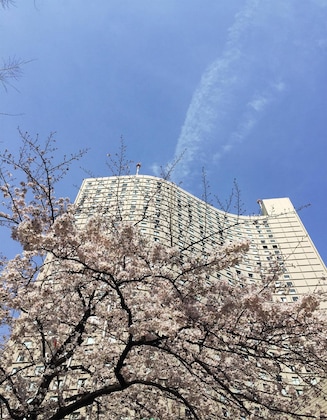 Gallery - Hilton Tokyo