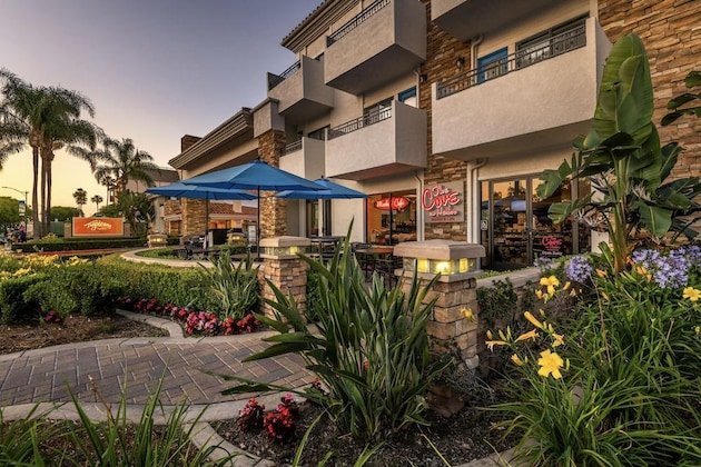Gallery - Tropicana Inn And Suites