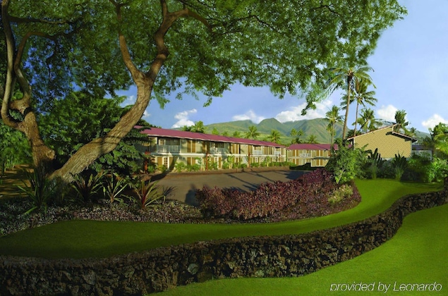 Gallery - Aina Nalu Lahaina