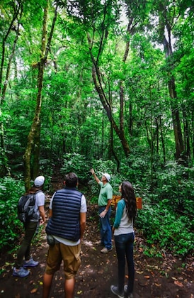 Gallery - Cloud Forest Lodge
