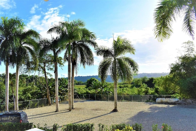 Gallery - Tropical Casa Laguna