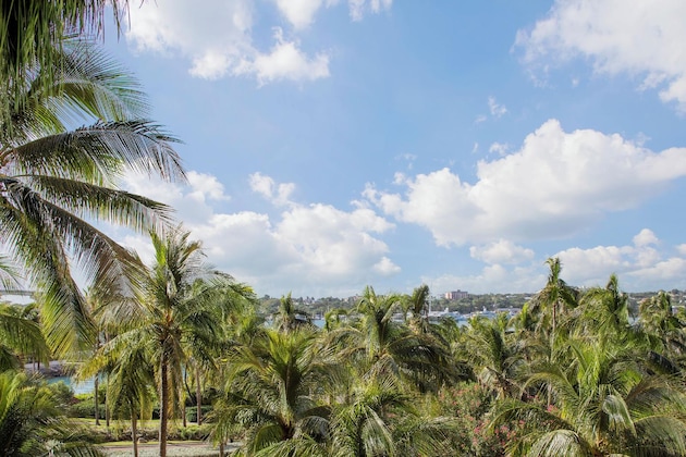 Gallery - The Royal At Atlantis