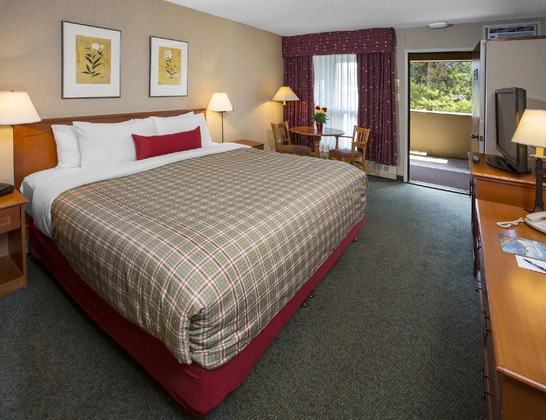 Gallery - Marmot Lodge