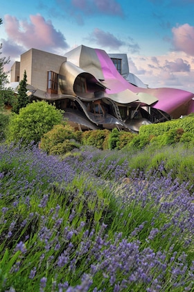 Gallery - Hotel Marqués de Riscal, a Luxury Collection Hotel