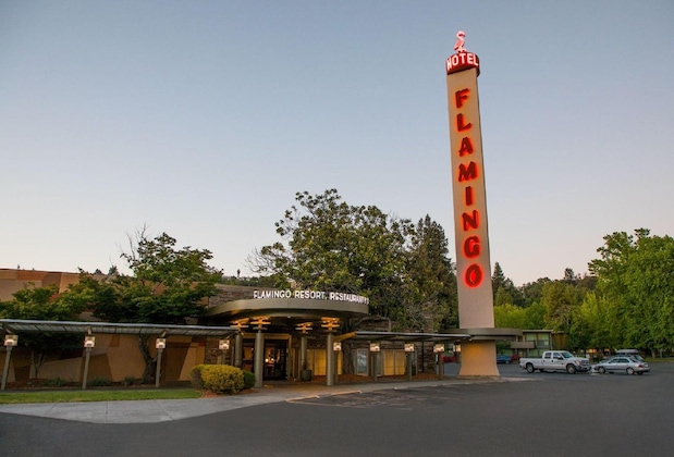 Gallery - Flamingo Resort
