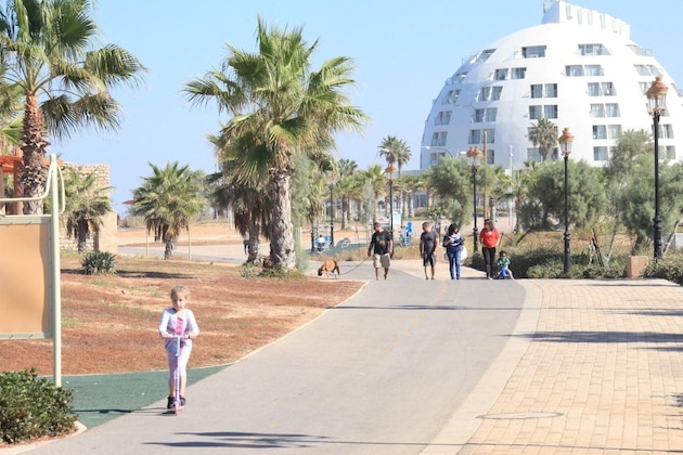 Gallery - Harlington Ashkelon