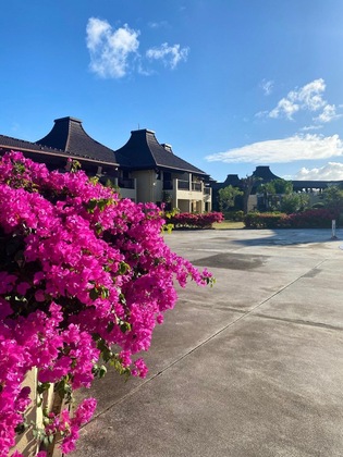 Gallery - Aqua Resort Club Saipan