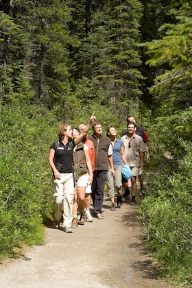 Gallery - Moraine Lake Lodge