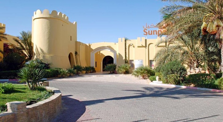 Gallery - Sun Palm
