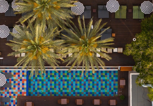 Gallery - King Jason Paphos - Designed For Adults By Louis Hotels