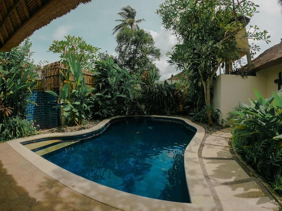 Gallery - The Watergarden