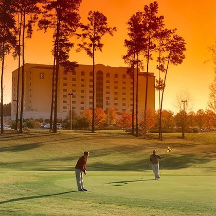 Gallery - Embassy Suites Greenville Golf Resort Conference