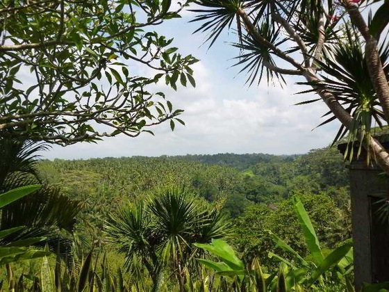 Gallery - Sayan Terrace Resort