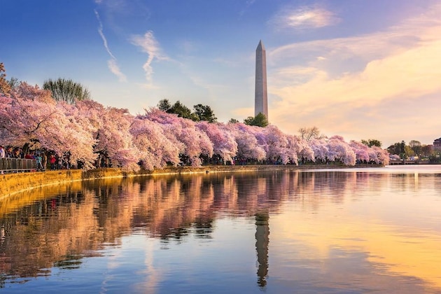 Gallery - Hyatt Regency Washington on Capitol Hill