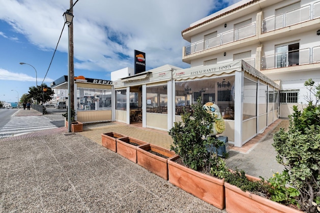 Gallery - Loto Conil Apartamentos