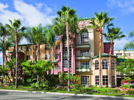 Gallery - Peacock Suites