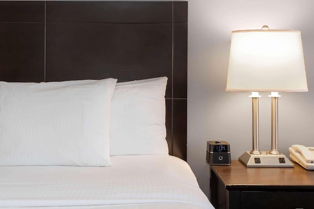 Gallery - La Quinta Inn & Suites By Wyndham St. Augustine