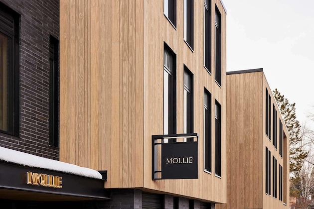 Gallery - Molly Gibson Lodge