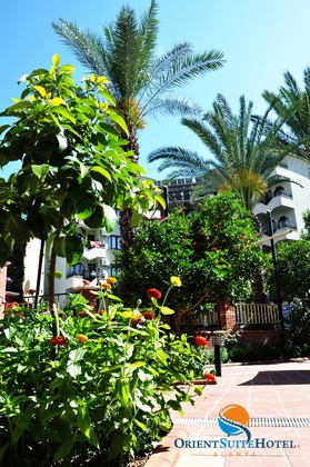 Gallery - Orient Suit Hotel