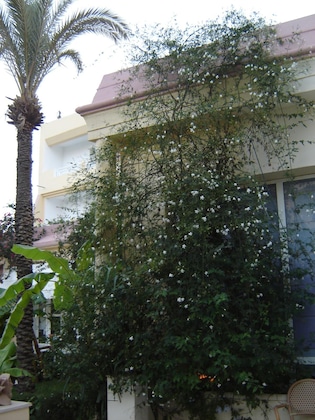 Gallery - Hotel Hammamet Azur Plaza
